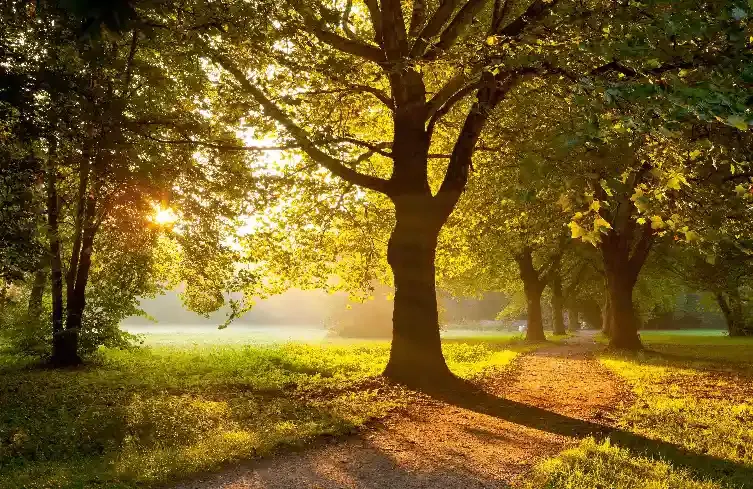 Kurpark Bad Krozingen